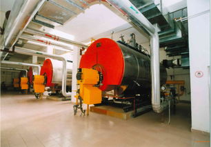 4t6t燃?xì)鉄崴仩t 小型集中供暖鍋爐,4t6t燃?xì)鉄崴仩t 小型集中供暖鍋爐生產(chǎn)廠家,4t6t燃?xì)鉄崴仩t 小型集中供暖鍋爐價(jià)格